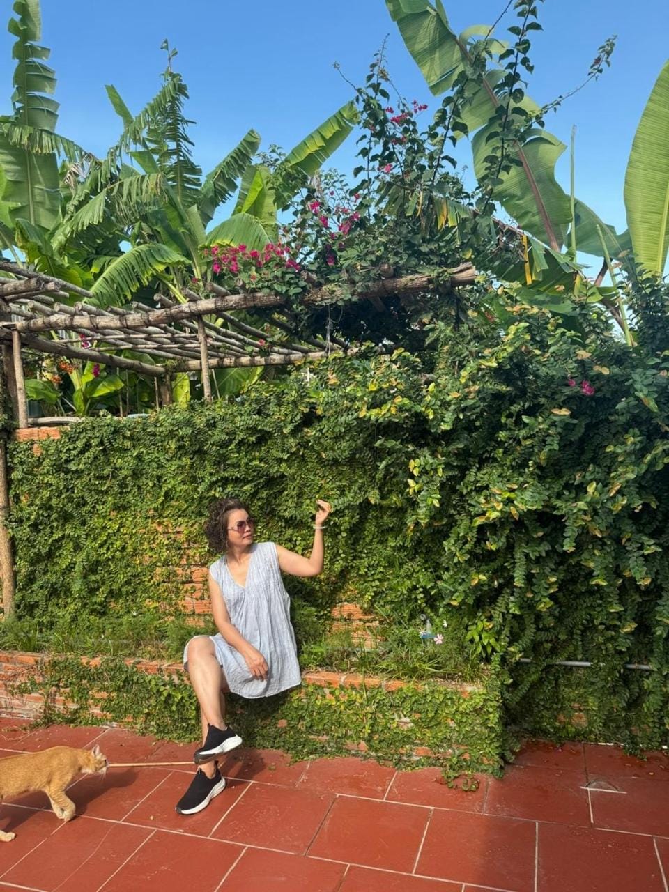 Nhà Nghỉ Vườn Oải Hương LAVENDER GARDEN GUEST HOUSE Hotel in Phu Quoc