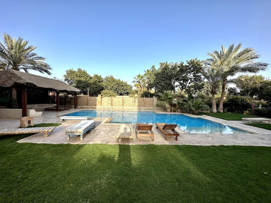 Day, Garden, Garden view, Pool view, Swimming pool, sunbed