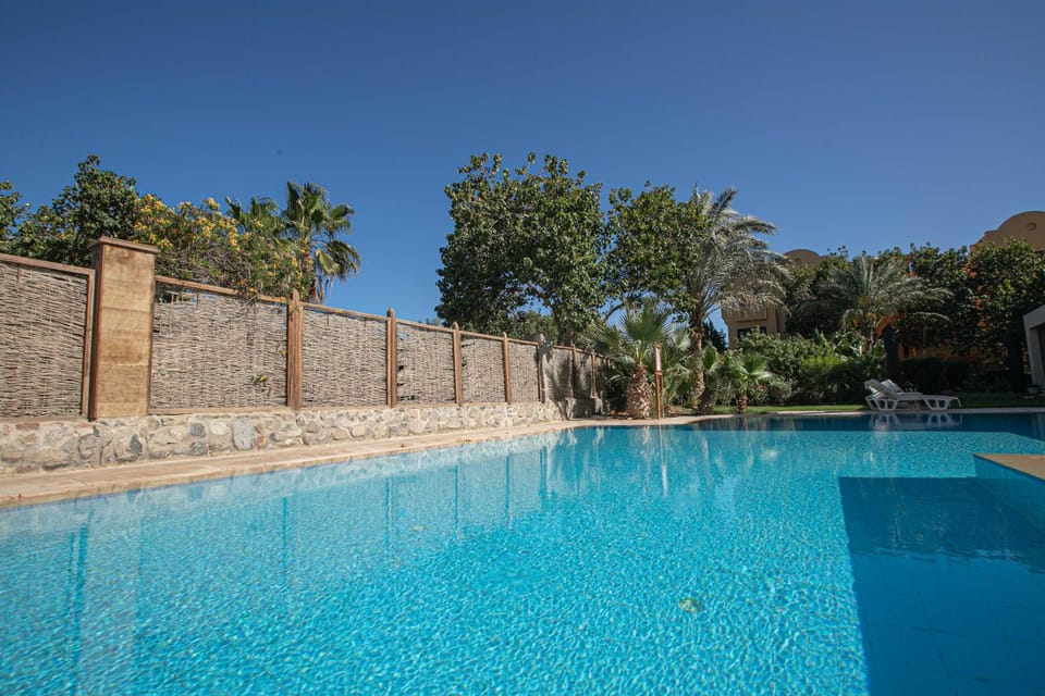 Day, Pool view, Swimming pool