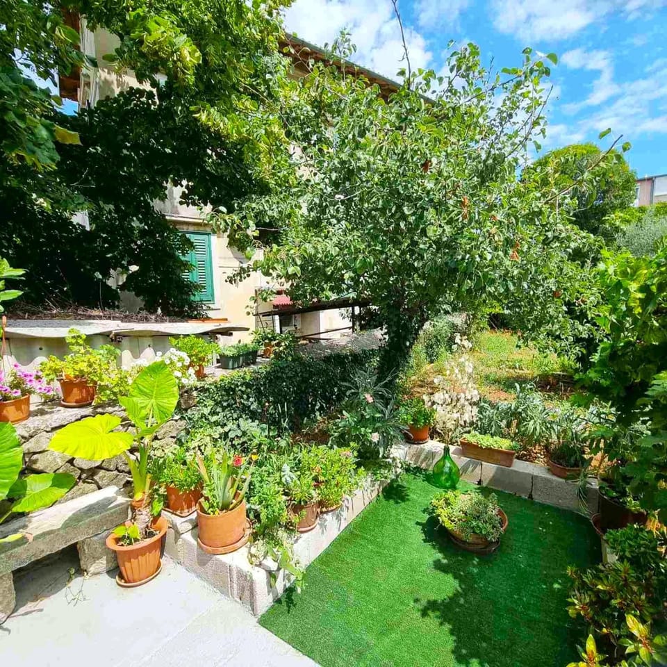 Garden, Balcony/Terrace, Garden view
