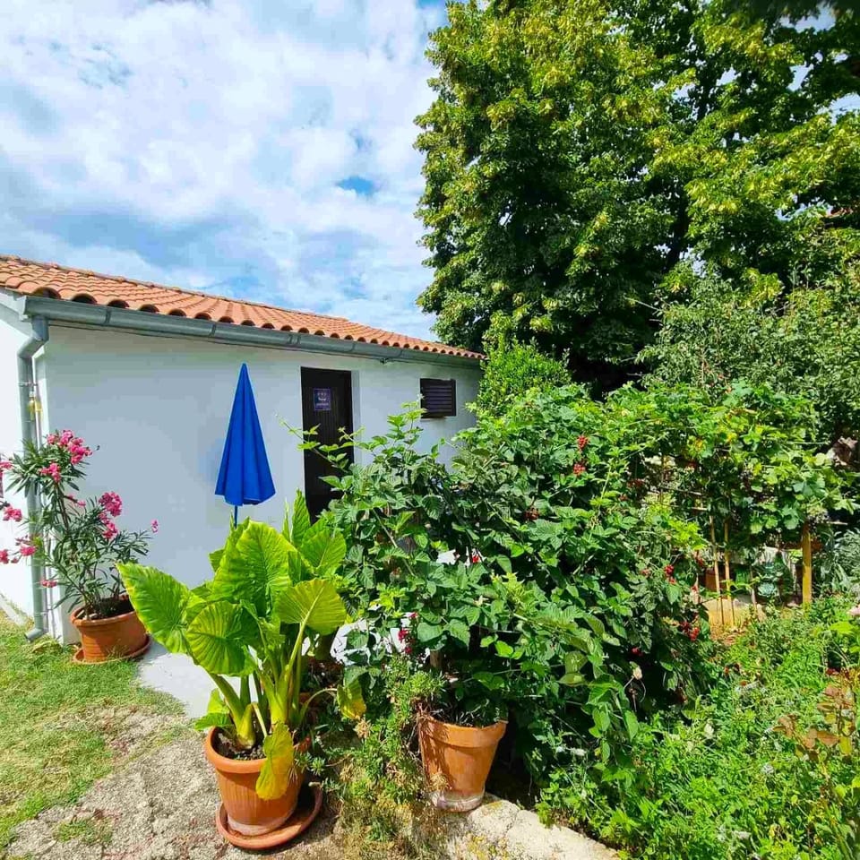 Property building, Garden, Balcony/Terrace, Garden view