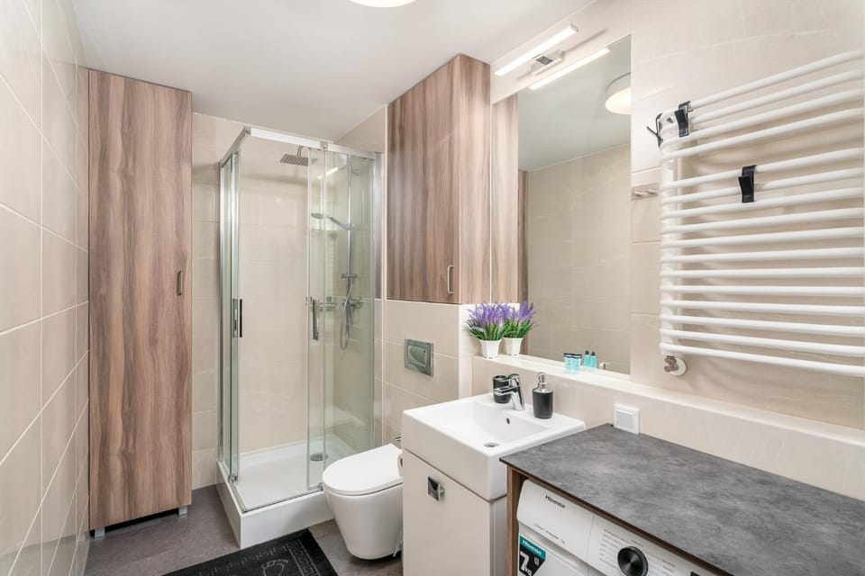 Shower, Toilet, Bathroom, washing machine