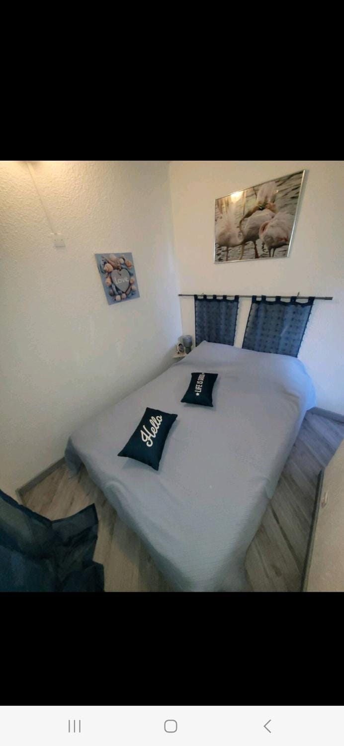 appartement 6p rez-de-jardin clim accés mer direct Apartment in Le Barcarès