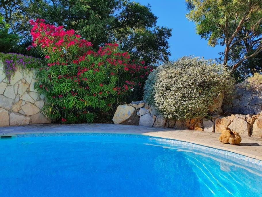 Spacious Villa with Pool and Fireplace Villa in Roquebrune-sur-Argens
