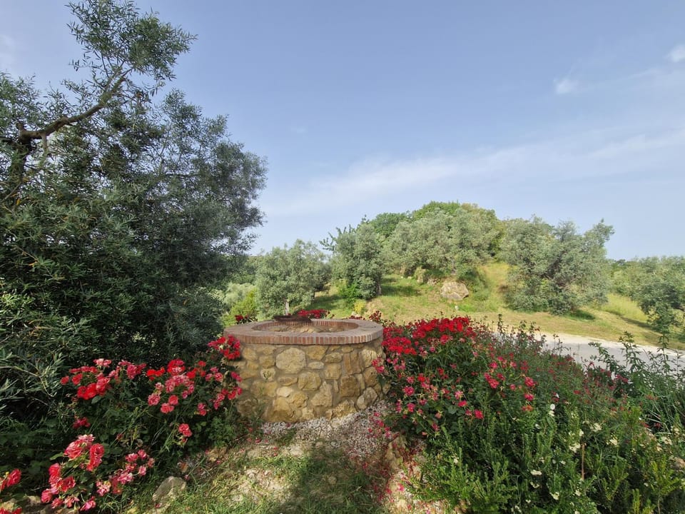 Spring, Day, Natural landscape, Garden, Garden, Garden view