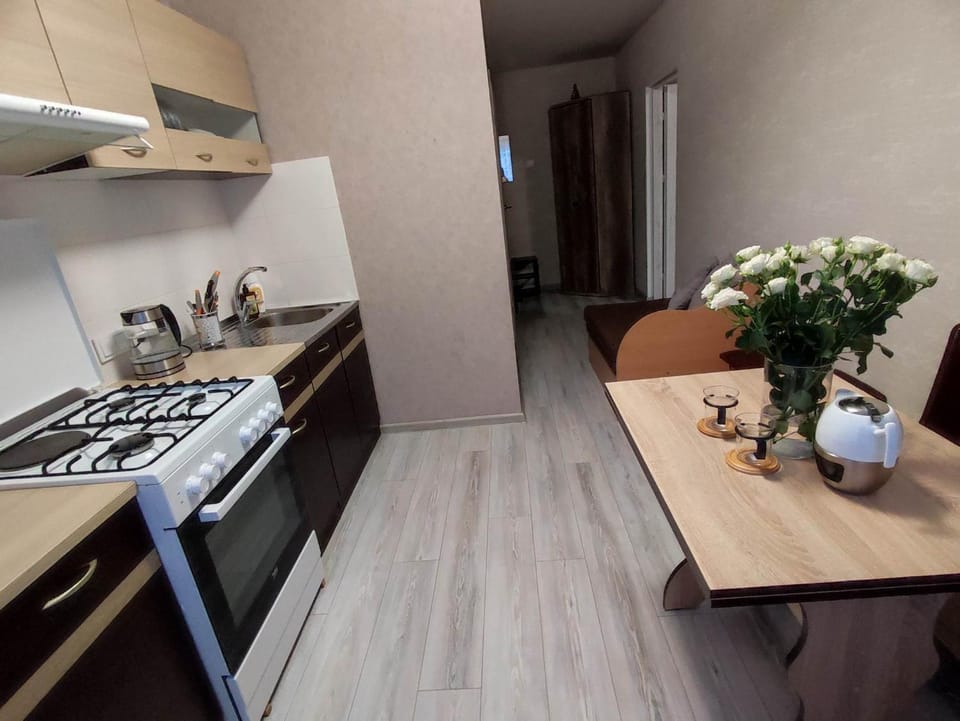 TROFFI Z58 - SELF CHECK-IN apartment for your comfort Apartment in Lithuania