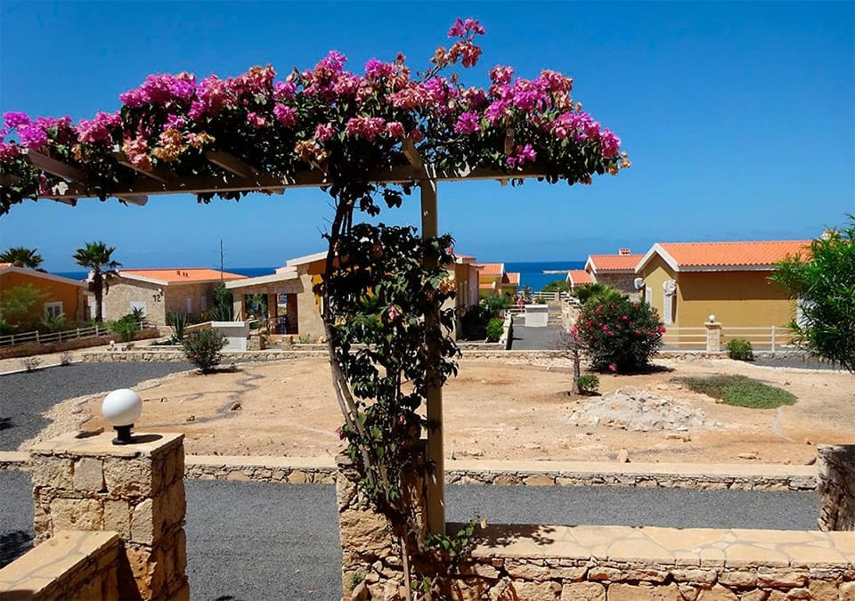 Garden, Garden view