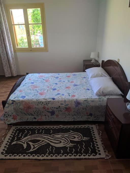 Countryside apartment Apartment in Gaios