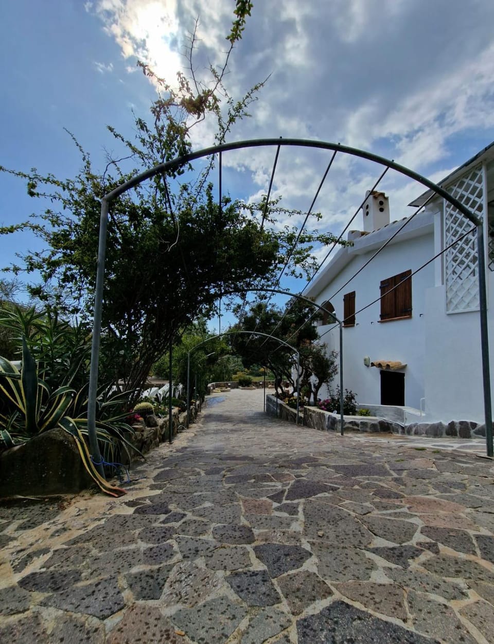 Day, Garden, Garden view