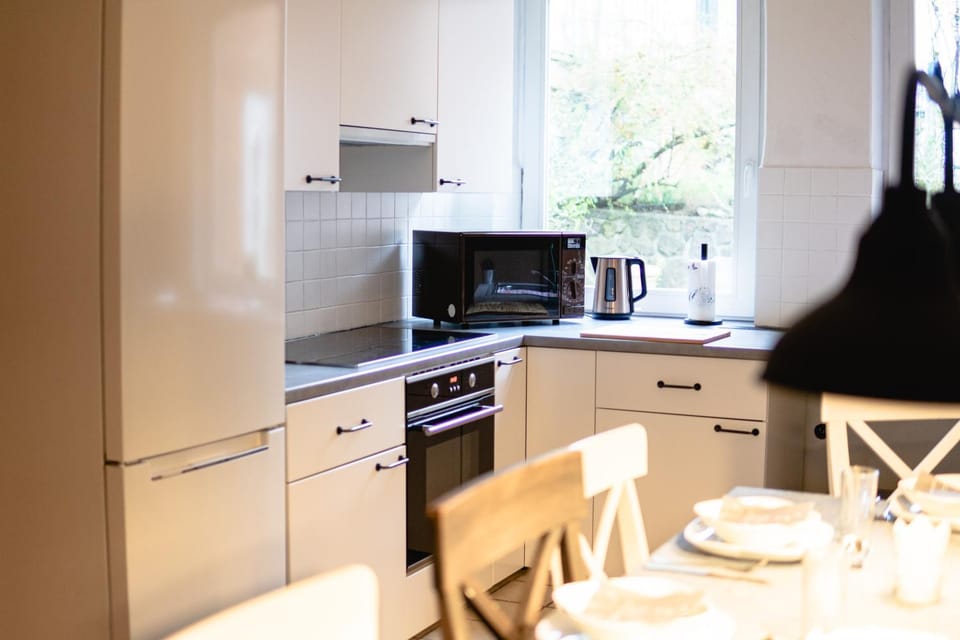 Kitchen or kitchenette, Kitchen or kitchenette, minibar, pet friendly, stove