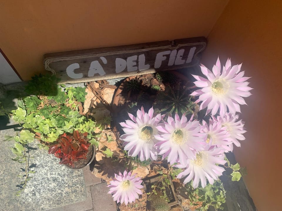 Cà del Fili House in Lenno