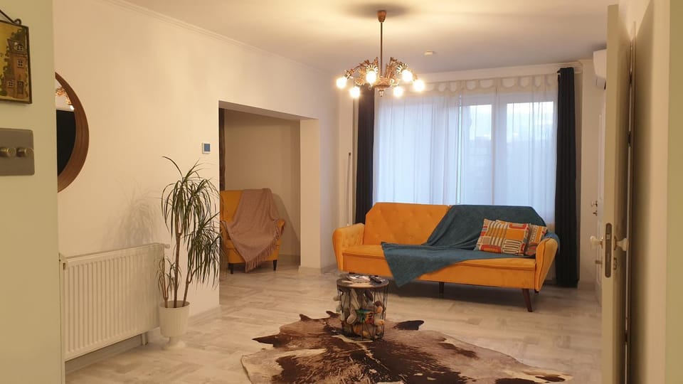 Fata pe Valuri Norsk Skogkatt DisneyTV Apartment in Romania