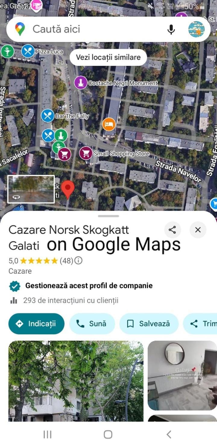 Fata pe Valuri Norsk Skogkatt DisneyTV Apartment in Romania