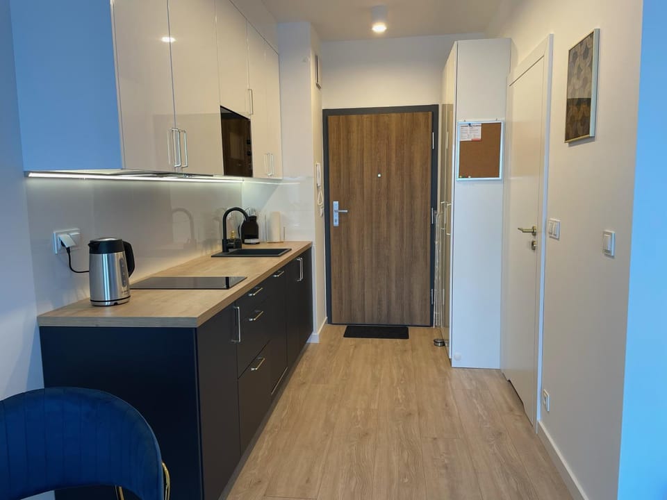 Kitchen or kitchenette, minibar, stove
