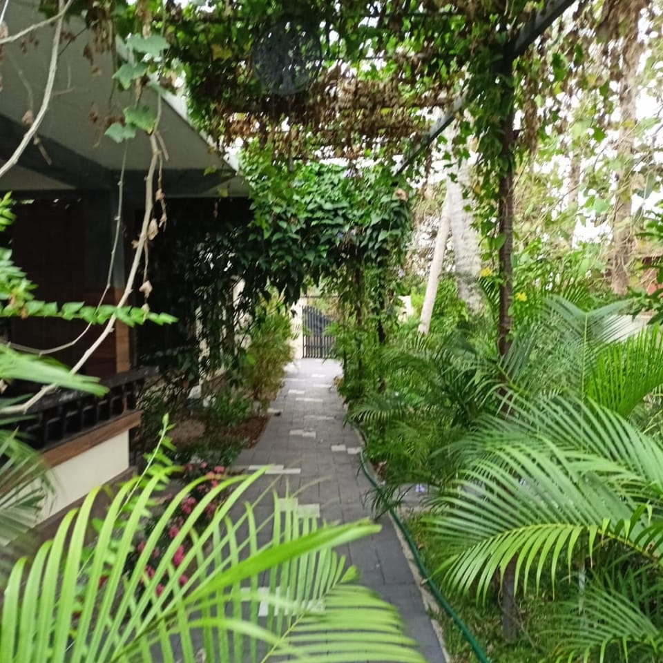 Spring, Natural landscape, Garden, Garden, Garden view