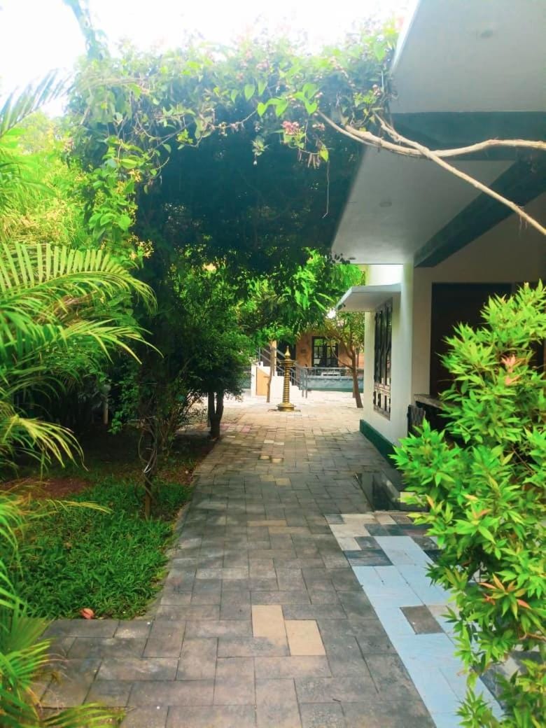 Property building, Day, Garden