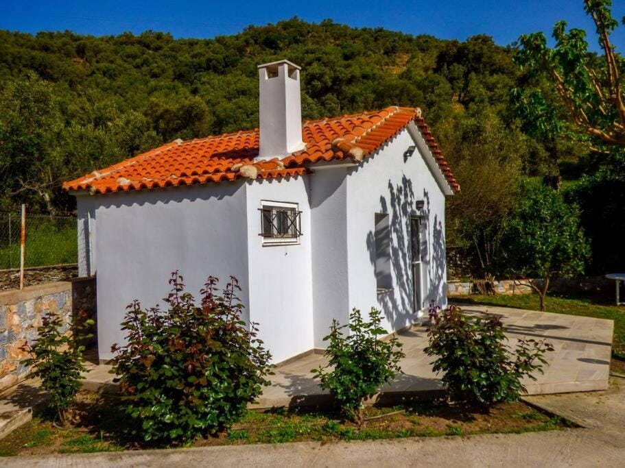 Garden house No1 Apartment in İzmir Province
