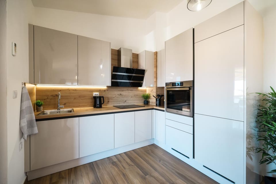 dishwasher, oven, kitchen