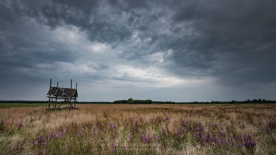 Natural landscape