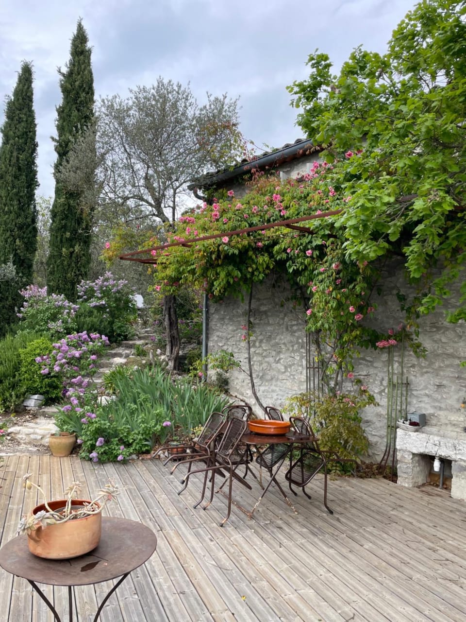 Spring, Day, Garden view