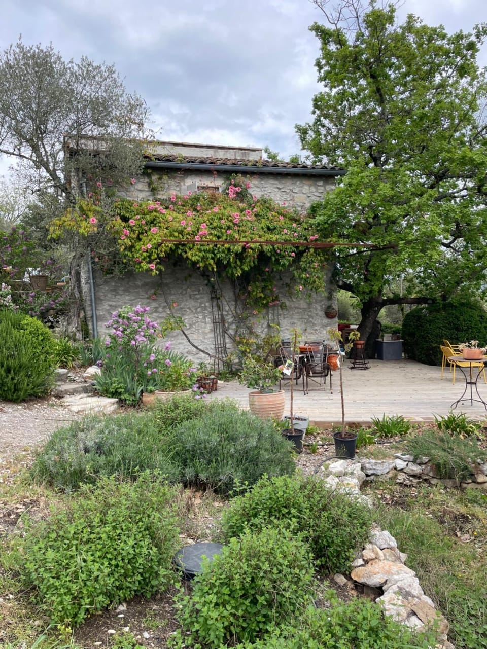 Spring, Day, Garden, Garden view