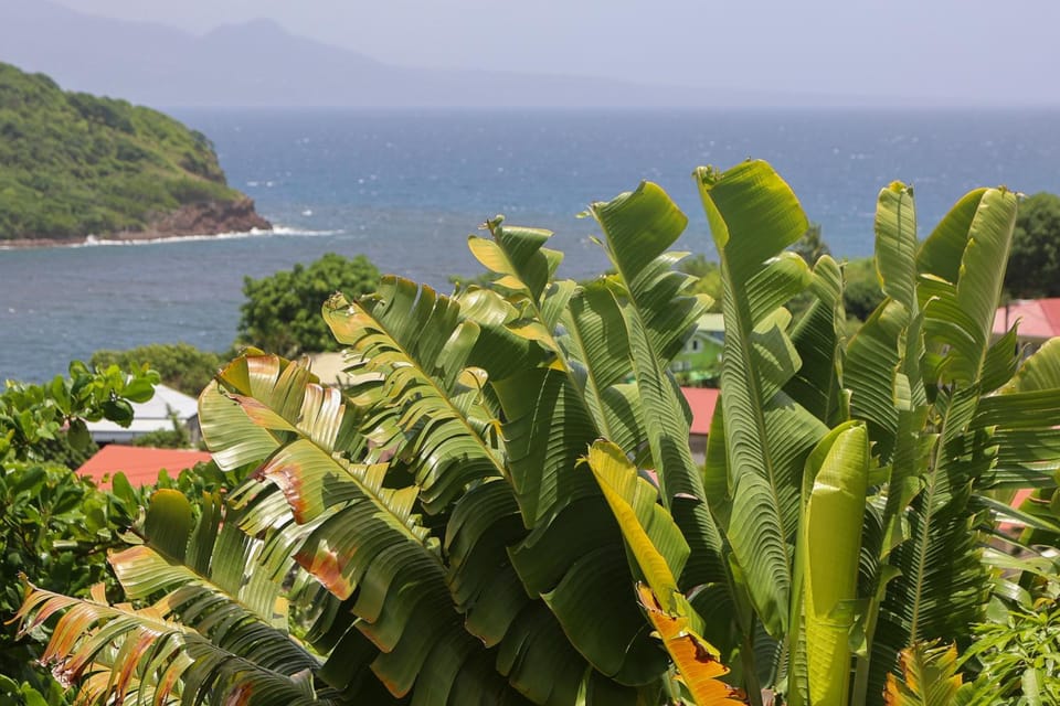 Cottages Les 3 Rochers - Vue sur mer House in Leeward Islands