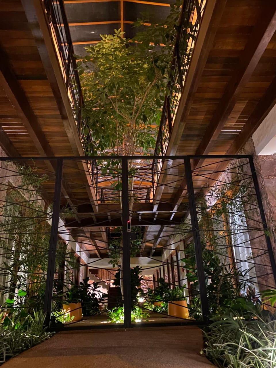 Off site, Night, Garden, Garden view
