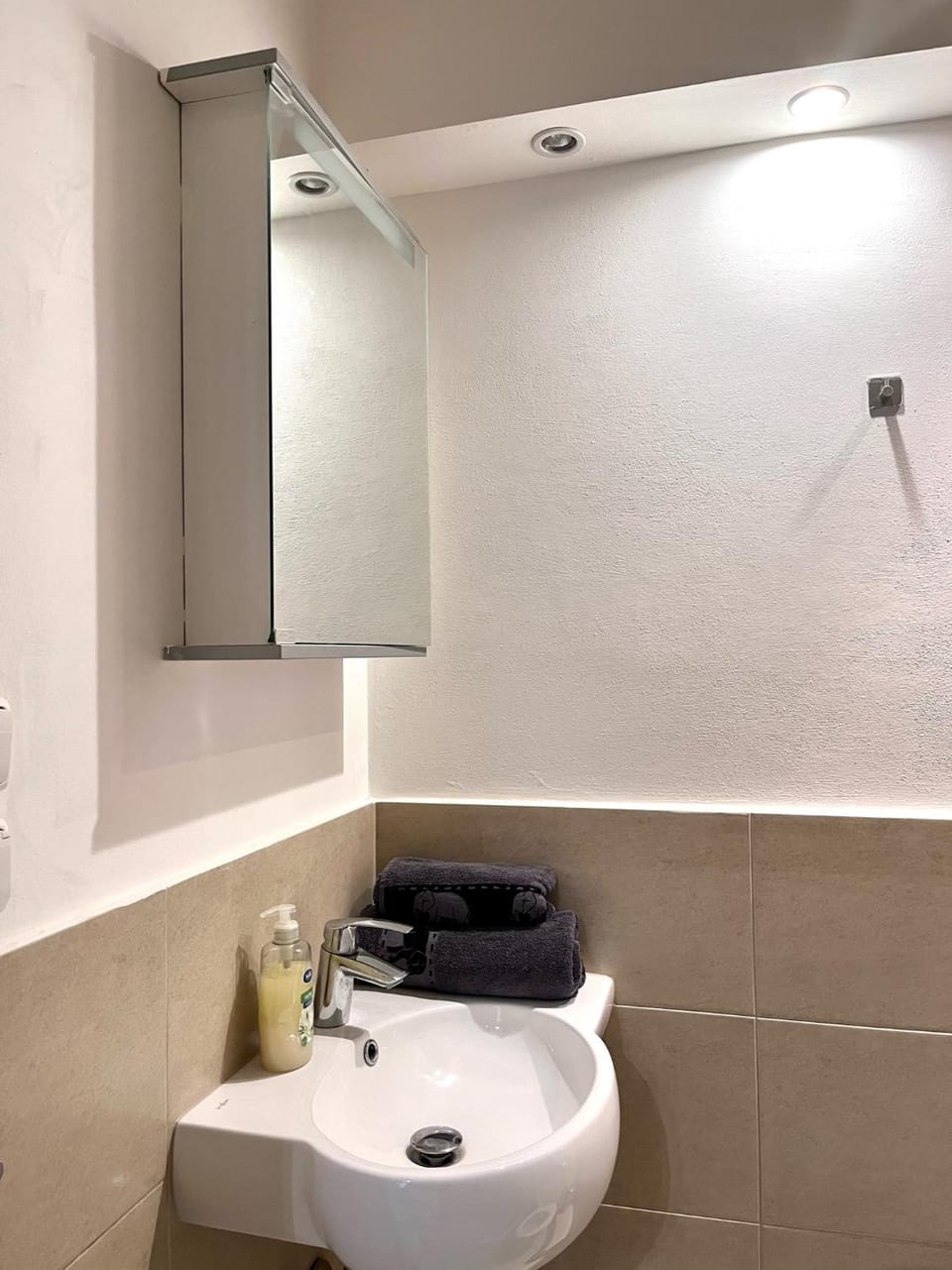 Quiet apartment close to center Apartment in Prague