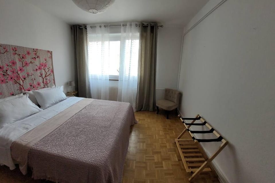 Le Schwendi Apartment in Colmar