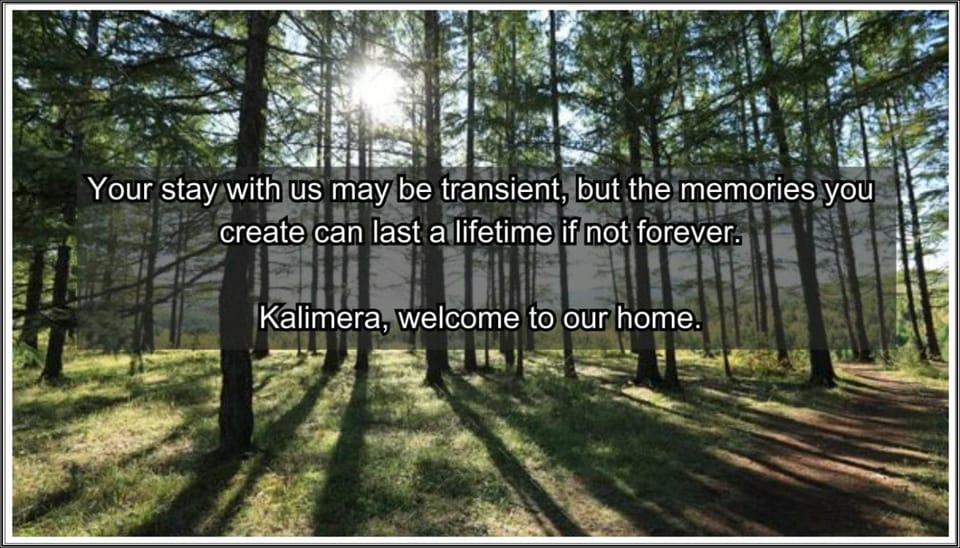 Text overlay