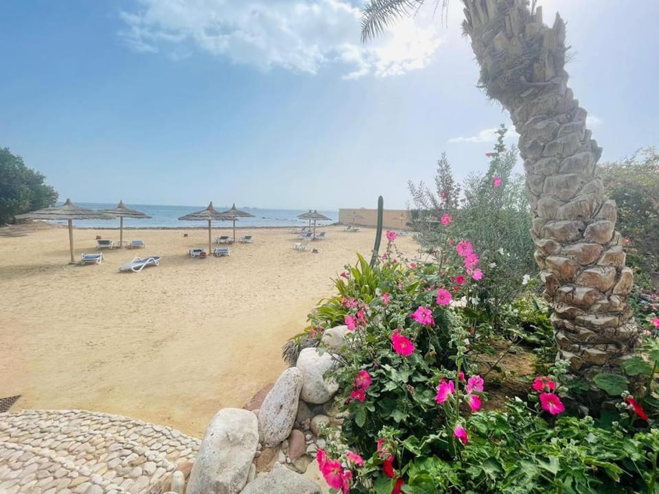 Navy Chalets 107 Apartment in Hurghada