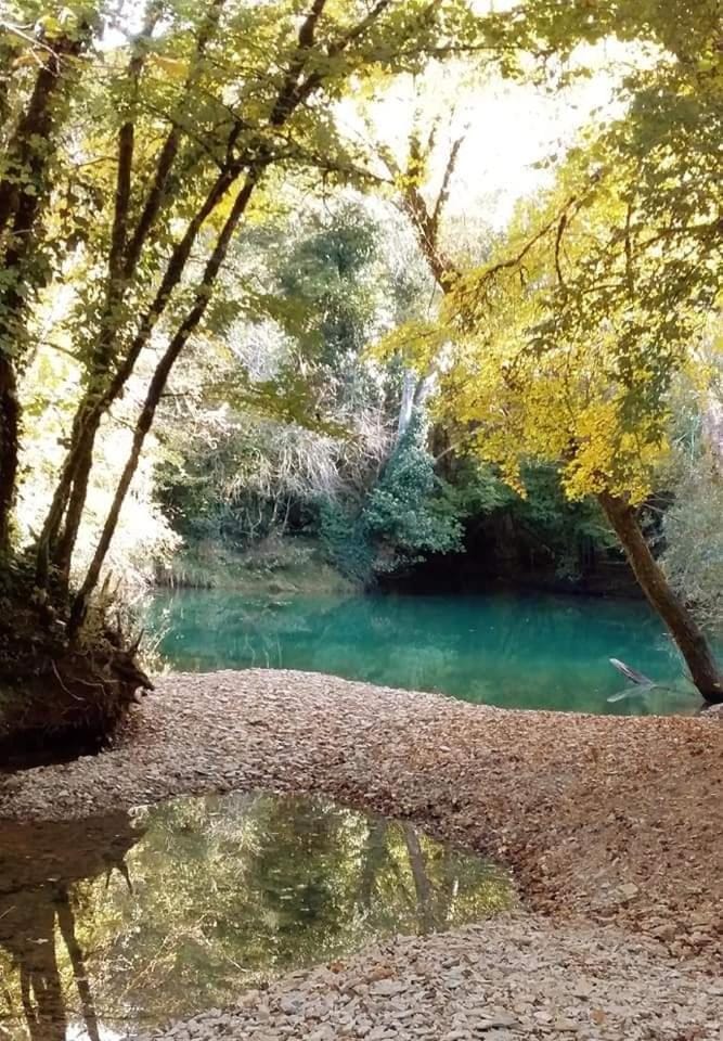 Chez carpet House in Occitanie
