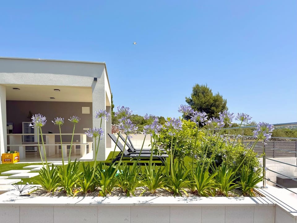 Garden, Garden view, sunbed