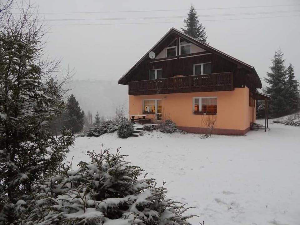 Property building, Off site, Natural landscape, Winter, Garden
