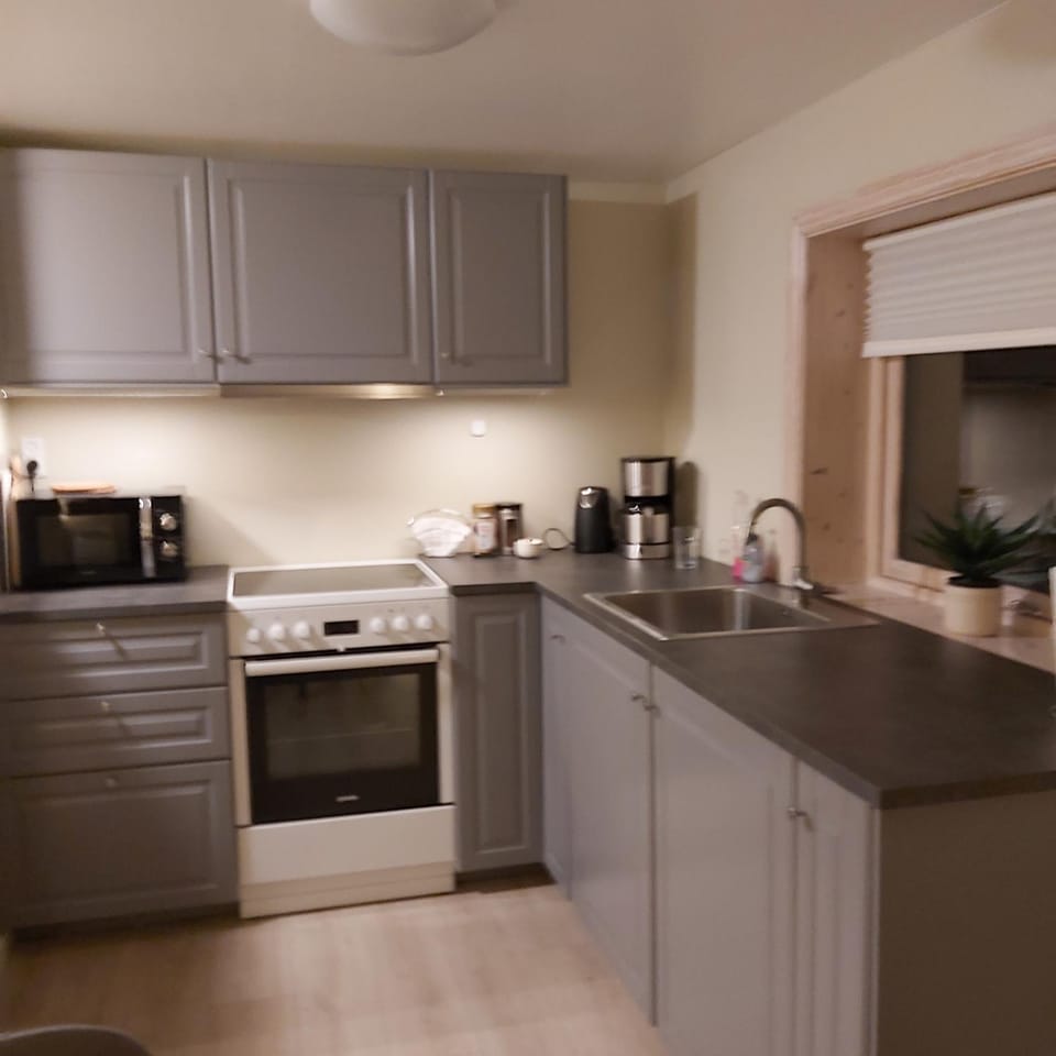 Coffee/tea facilities, Kitchen or kitchenette, oven, stove, toaster