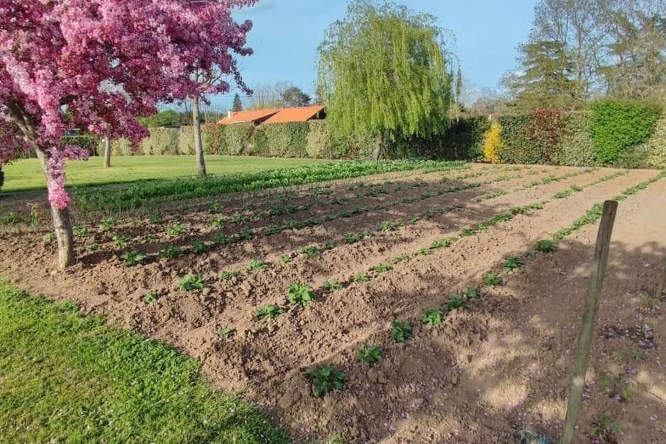 Vacance à la campagne Apartment in Occitanie