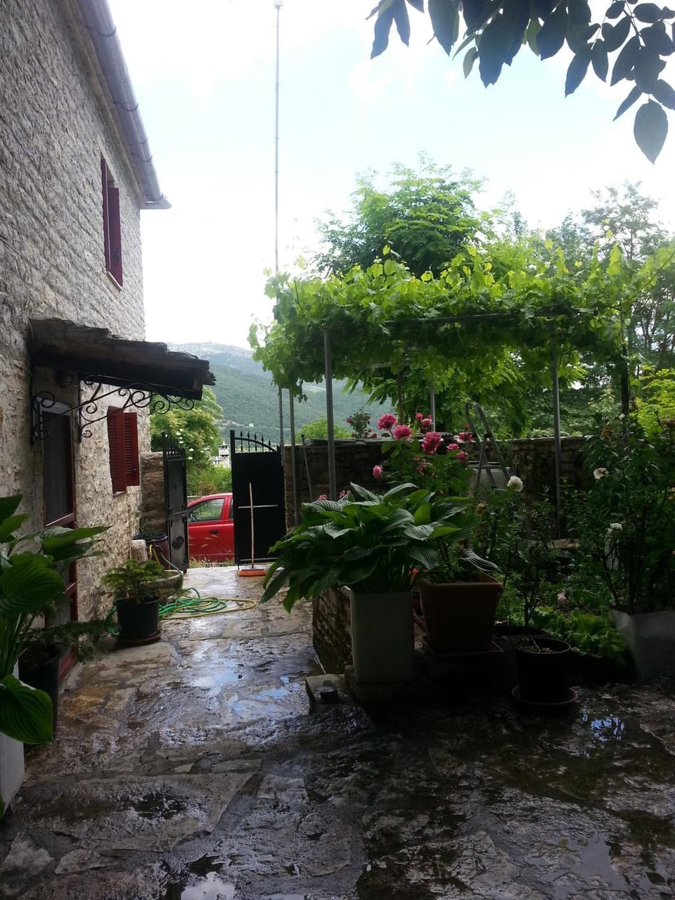 Property building, Garden, Garden view