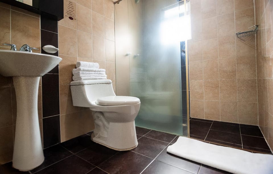 Shower, Toilet, Bathroom, towels
