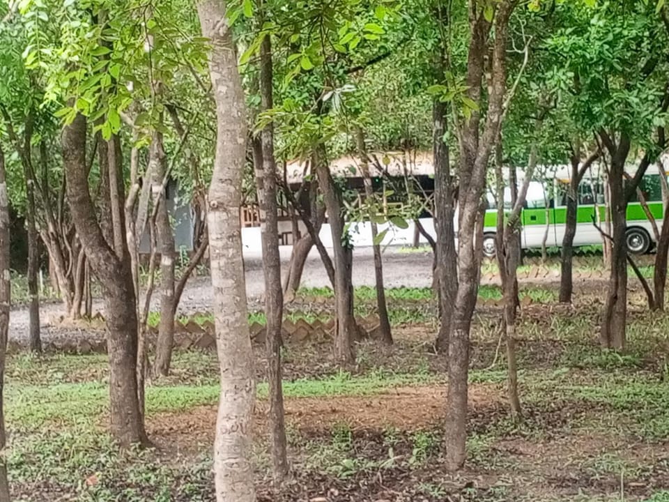 Natural landscape, Garden view