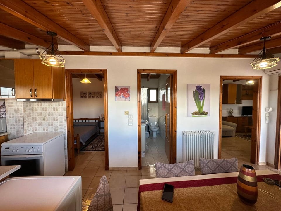 Kitchen or kitchenette, Living room, Seating area, Dining area, oven, stove