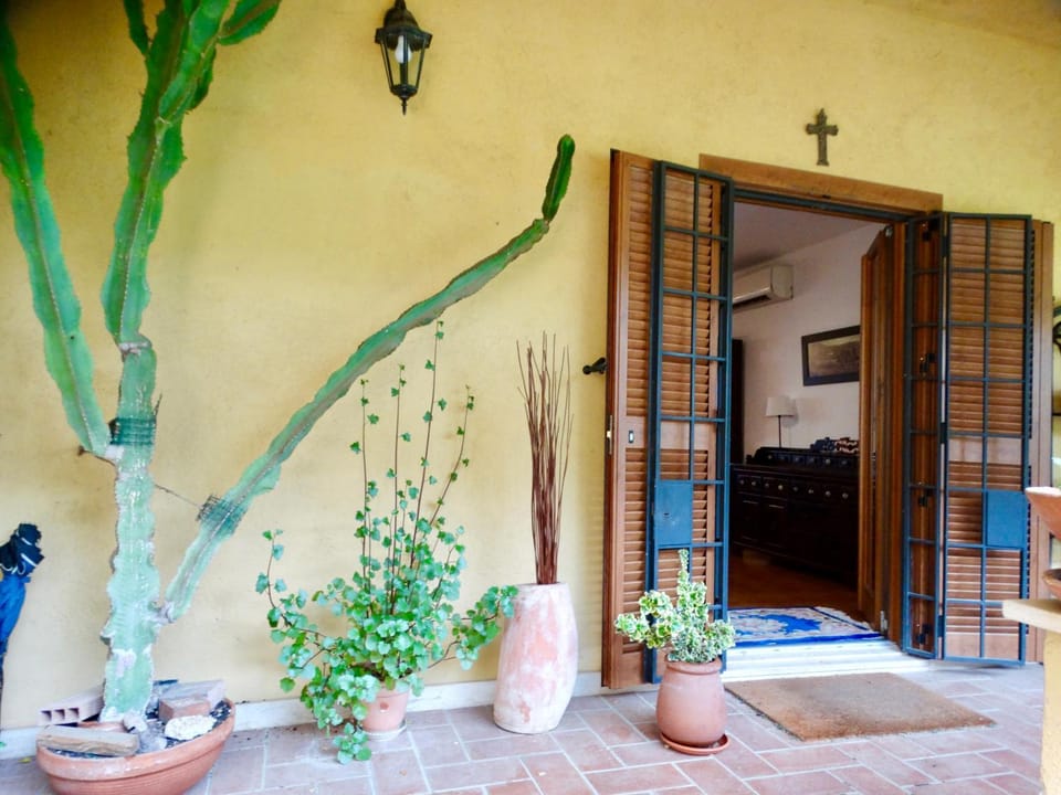 Patio, Facade/entrance, Garden
