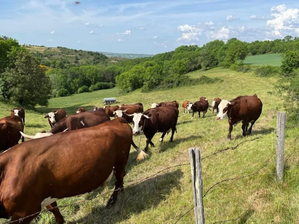 Maison de vacances rénovée à la ferme, terrasse, proche du Parc Ardes, Puy de Dôme et Brioude - FR-1-582-375 House in Auvergne-Rhône-Alpes