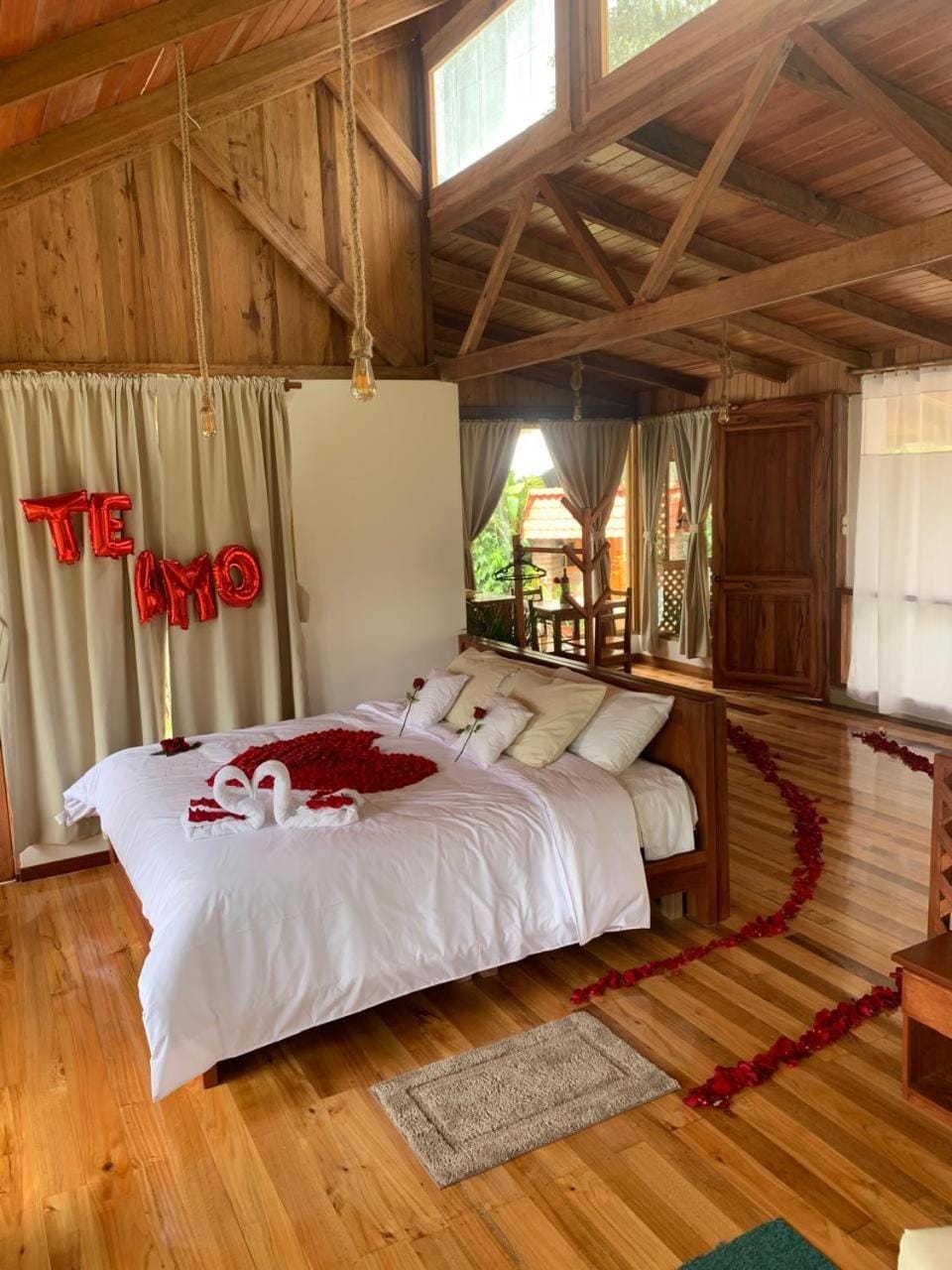 Photo of the whole room