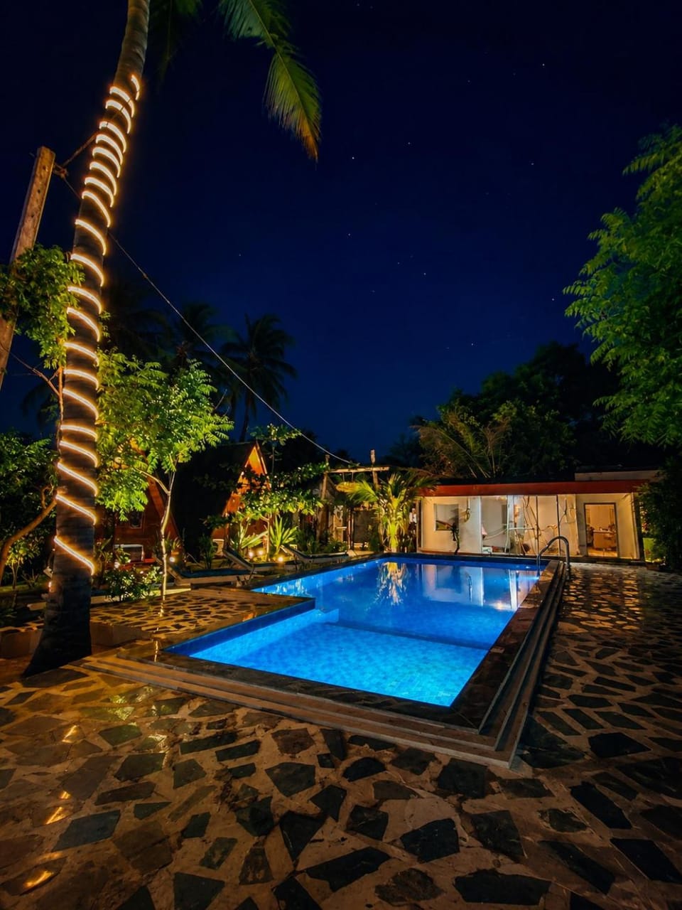 Night, Garden, Garden view, Pool view, Swimming pool, sunbed