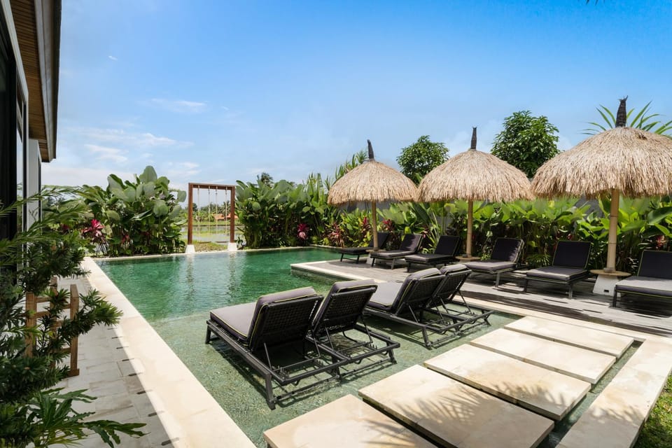 Garden, Garden view, Pool view, Swimming pool, sunbed