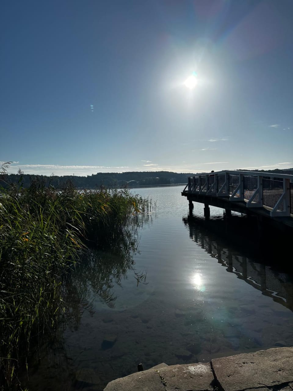 Lake view