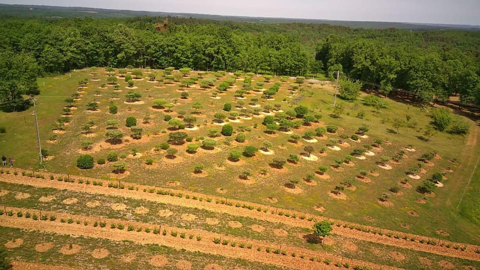 Bird's eye view, Garden view, Landmark view