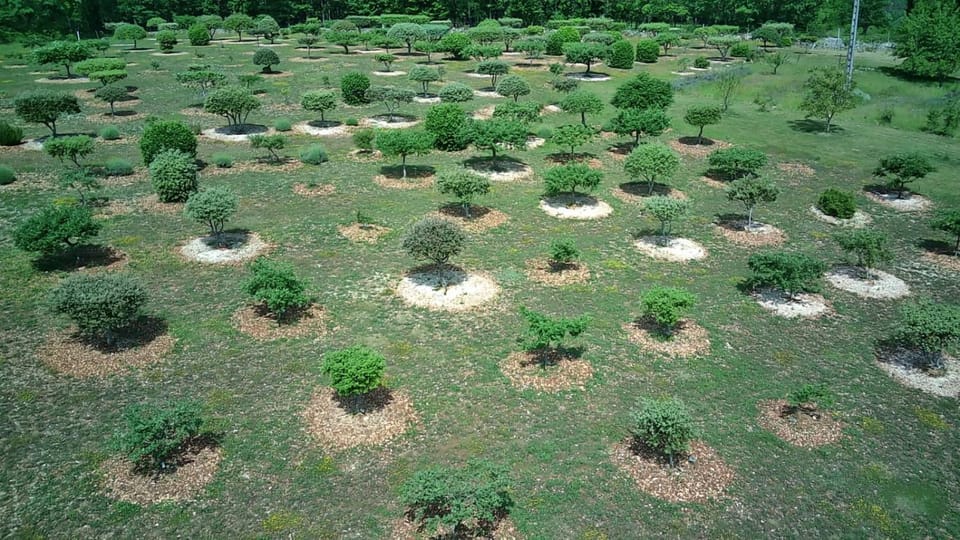 Garden, Garden view