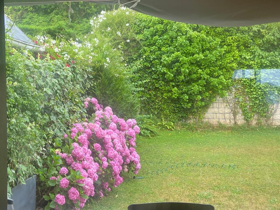 Spring, Day, Garden, Garden, Garden view