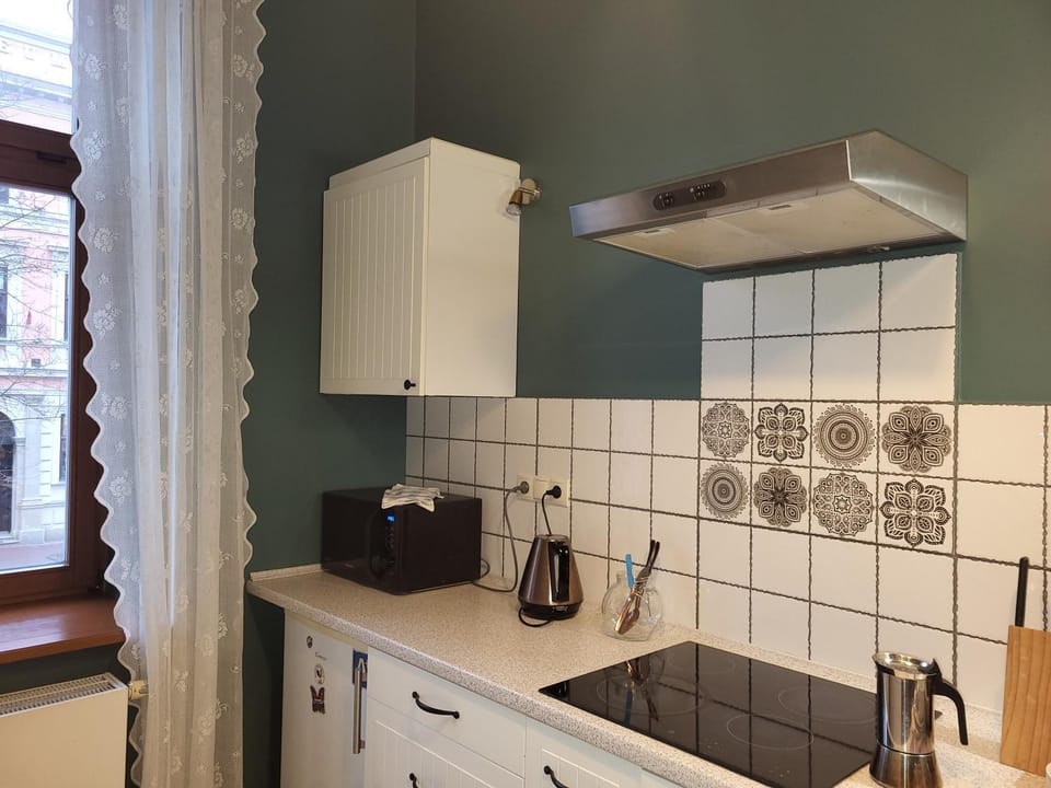 Kitchen or kitchenette, minibar, stove